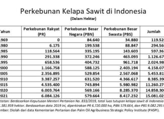 Perkembangan Perkebunan Sawit Rakyat, Negara, dan Swasta perkembangan perkebunan sawit di Indonesia