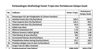 Perbandingan Manfaat Ekologis Kebun Sawit dan Hutan Tropis manfaat ekologis kebun sawit