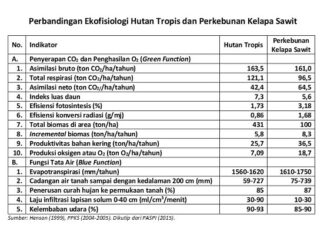 Perbandingan Manfaat Ekologis Kebun Sawit dan Hutan Tropis manfaat ekologis kebun sawit