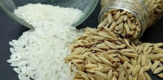 Inpari IR Nutri Zinc dan Inpago 13 Fortiz Bisa Mencegah Stunting mencegah stunting pada anak