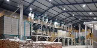 Keunggulan Bulog dengan Teknologi Pengolahan Beras ke Beras teknologi pengolahan beras ke beras