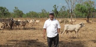 Mendorong Petani Menjadi Wiratani, Kunci Mendongkrak Perekonomian kewirausahaan merupakan kunci mendongkrak perekonomian