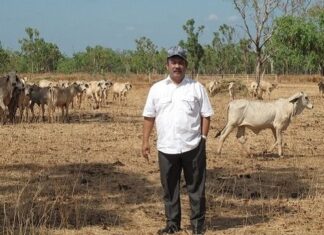 Mendorong Petani Menjadi Wiratani, Kunci Mendongkrak Perekonomian kewirausahaan merupakan kunci mendongkrak perekonomian
