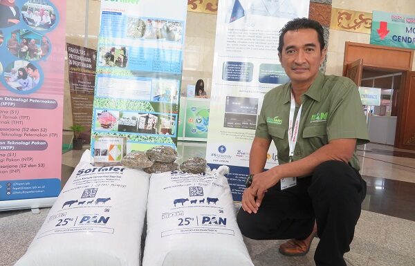 Sorinfer, Pakan Komplit Fermentasi Siap Saji untuk Sapi, Kambing, dan Domba pakan komplit fermentasi siap saji Sorinfer