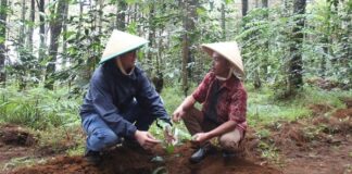 Kolaborasi Penerapan Pertanian Terpadu di KBA Suntenjaya menggerakkan pertanian terpadu di KBA Suntenjaya