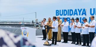 Tambak Budidaya Udang Berbasis Kawasan di Kebumen tambak budidaya udang berbasis kawasan