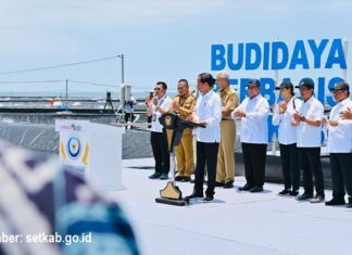 Tambak Budidaya Udang Berbasis Kawasan di Kebumen tambak budidaya udang berbasis kawasan