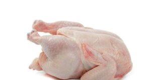 9 Cara Mengenali Karkas dan Daging Ayam Bermutu karkas dan daging ayam bermutu