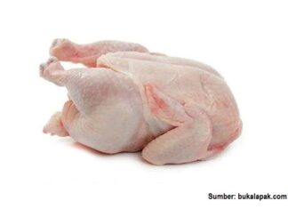 9 Cara Mengenali Karkas dan Daging Ayam Bermutu karkas dan daging ayam bermutu