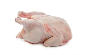 9 Cara Mengenali Karkas dan Daging Ayam Bermutu karkas dan daging ayam bermutu