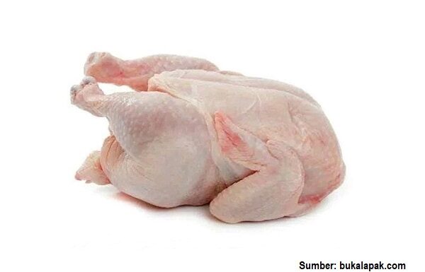 9 Cara Mengenali Karkas dan Daging Ayam Bermutu karkas dan daging ayam bermutu