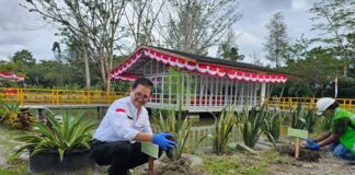 Freeport Indonesia Peduli Lingkungan dengan Menanam Pohon di Timika Presiden Direktur Freeport Indonesia menanam pohon