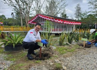 Freeport Indonesia Peduli Lingkungan dengan Menanam Pohon di Timika Presiden Direktur Freeport Indonesia menanam pohon