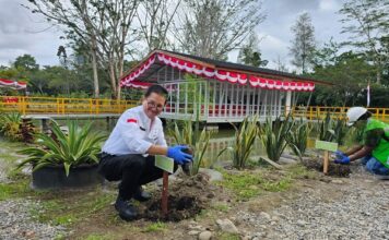 Freeport Indonesia Peduli Lingkungan dengan Menanam Pohon di Timika Presiden Direktur Freeport Indonesia menanam pohon