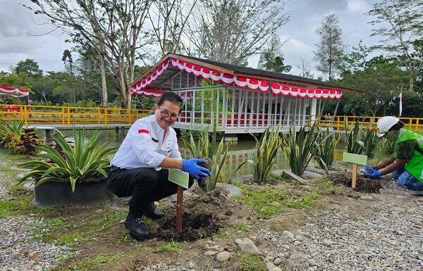 Freeport Indonesia Peduli Lingkungan dengan Menanam Pohon di Timika Presiden Direktur Freeport Indonesia menanam pohon