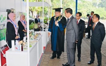 Presiden Jokowi Meminta Varietas Padi Sawah IPB 3S Dibagikan ke Petani Presiden Jokowi dan varietas padi sawah IPB 3S