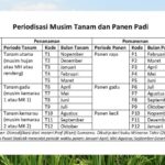 Dengan Impor, Persediaan Beras Awal Tahun 2024 Aman 103 Hari pemerintah impor untuk menjaga persediaan beras