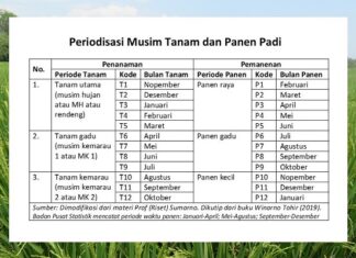 Dengan Impor, Persediaan Beras Awal Tahun 2024 Aman 103 Hari pemerintah impor untuk menjaga persediaan beras