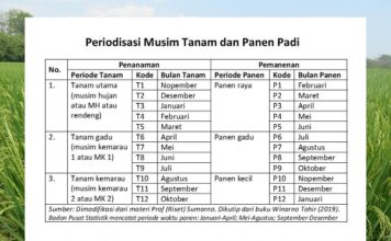 Dengan Impor, Persediaan Beras Awal Tahun 2024 Aman 103 Hari pemerintah impor untuk menjaga persediaan beras