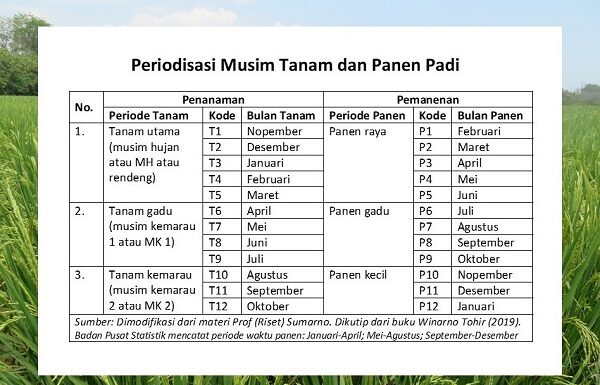 Dengan Impor, Persediaan Beras Awal Tahun 2024 Aman 103 Hari pemerintah impor untuk menjaga persediaan beras