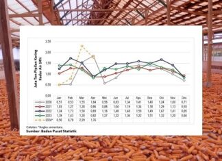 Kiat Kejar Target Produksi Jagung Pipilan Kering Tahun 2024 jagung pipilan kering kadar air 14%
