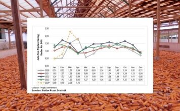 Kiat Kejar Target Produksi Jagung Pipilan Kering Tahun 2024 jagung pipilan kering kadar air 14%