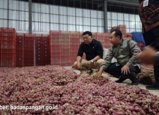 Cek Jadwal dan Lokasi GPM Bawang Merah Bapanas di Jakarta GPM bawang merah di Jakarta