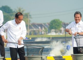 BINS Karawang Lokomotif Industrialisasi Ikan Nila Salin lokomotif industrialisasi ikan nila salin