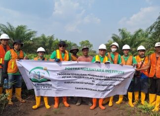 Cara Penguatan Petani Sawit Rakyat dengan Dukungan Data pembinaan petani sawit rakyat di Ketapang