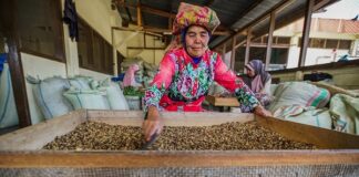 Mengungkap Aksi Belanja Etis untuk Produk Berkelanjutan KoltiTraceShop, akses produk berkelanjutan