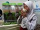 KKP Pastikan Susu Ikan Masuk Menu Program Makan Bergizi Gratis susu ikan masuk menu Makan Bergizi Gratis