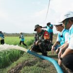 Program Elektrifikasi Pertanian bisa Menyejahterakan Petani elektrifikasi pertanian bisa menyejahterakan petani