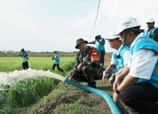 Program Elektrifikasi Pertanian bisa Menyejahterakan Petani elektrifikasi pertanian bisa menyejahterakan petani