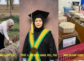 Pengembangan Gula Cair Nira Batang Sawit Tua gula cair nira batang sawit tua