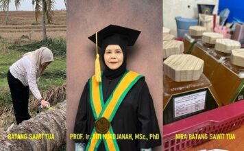 Pengembangan Gula Cair Nira Batang Sawit Tua gula cair nira batang sawit tua