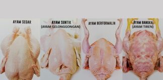Cara Pintar Memilih Daging Ayam Segar di Pasar tip memilih daging ayam segar di pasar