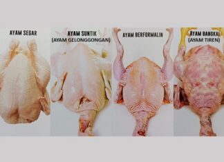 Cara Pintar Memilih Daging Ayam Segar di Pasar tip memilih daging ayam segar di pasar