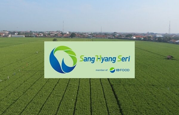 Sang Hyang Seri Bertransformasi Menjadi Pusat Perbenihan Nasional Sang Hyang Seri menjadi pusat perbenihan nasional
