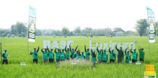 BASF Meluncurkan Herbisida Luxinum, Inovasi Baru Mengendalikan Gulma BASF meluncurkan herbisida Luxinum