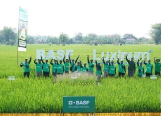 BASF Meluncurkan Herbisida Luxinum, Inovasi Baru Mengendalikan Gulma BASF meluncurkan herbisida Luxinum