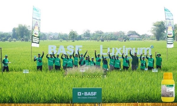 Agrikan.id, BASF meluncurkan herbisida Luxinum di Madiun BASF meluncurkan herbisida Luxinum