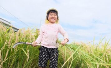 Koperasi di Jepang sebagai Lawan Tanding Korporasi Kapitalis kekuatan gerakan koperasi di Jepang