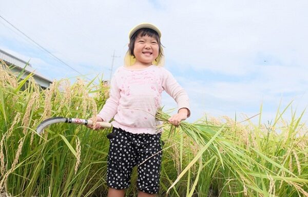 Koperasi di Jepang sebagai Lawan Tanding Korporasi Kapitalis kekuatan gerakan koperasi di Jepang