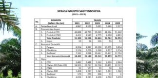 Kinerja Industri Sawit Indonesia 2021-2025 produksi sawit Indonesia tahun 2021-2025