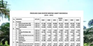 Perbedaan Penyajian Data Nilai Ekspor Minyak Sawit Indonesia penyajian data nilai ekspor minyak sawit Indonesia