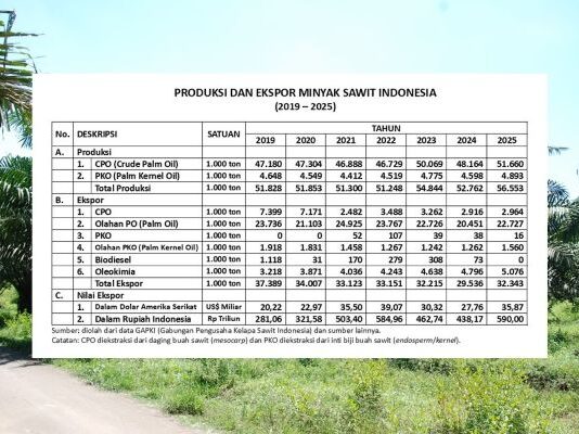 Perbedaan Penyajian Data Nilai Ekspor Minyak Sawit Indonesia penyajian data nilai ekspor minyak sawit Indonesia