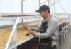 100 Tahun Panas Bumi Indonesia: Inovasi PGE Hadirkan Biji Kopi Berkualitas Geothermal Dry House percepat pengeringan kopi