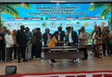 Perempuan dan Generasi Muda, Kunci Sukses Petani Sawit keberlangsungan usaha petani sawit swadaya