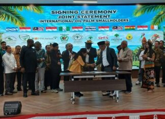 Perempuan dan Generasi Muda, Kunci Sukses Petani Sawit keberlangsungan usaha petani sawit swadaya
