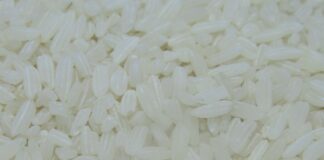 Persediaan Melimpah, Kok Beras Premium Langka di Ritel Modern beras premium kemasan 5 kg langka